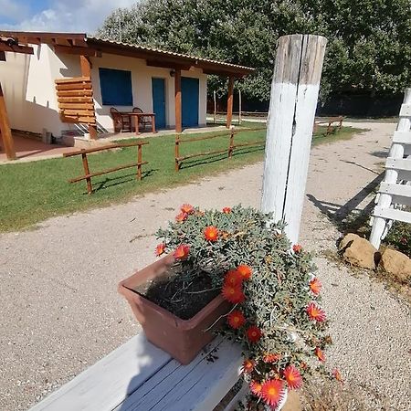 Agriturismo Oca Giuliva Lido dei Pini Kültér fotó