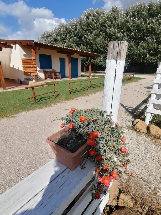 Agriturismo Oca Giuliva Lido dei Pini Kültér fotó